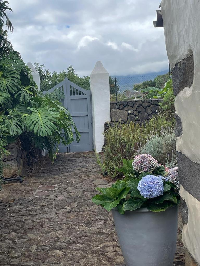 Casas La Principal Guest House San Pedro  Bagian luar foto