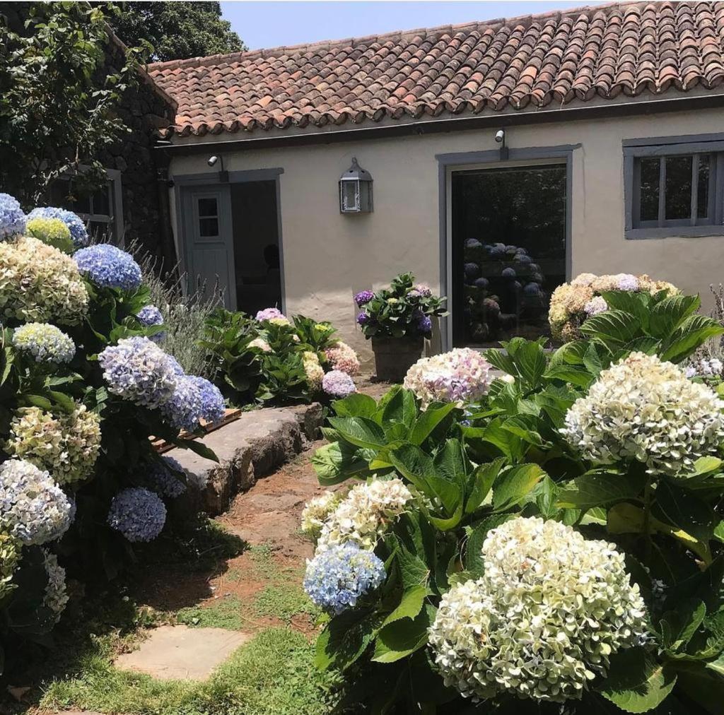 Casas La Principal Guest House San Pedro  Bagian luar foto